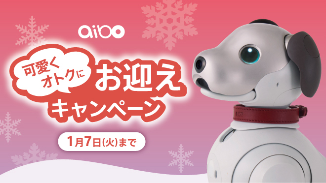 最新情報 | aibo