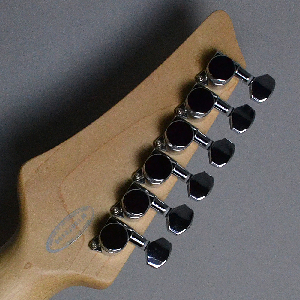 入荷情報】Line 6 – 中古 JAMES TYLER VARIAX JTV-69S Black (BK)【S/N