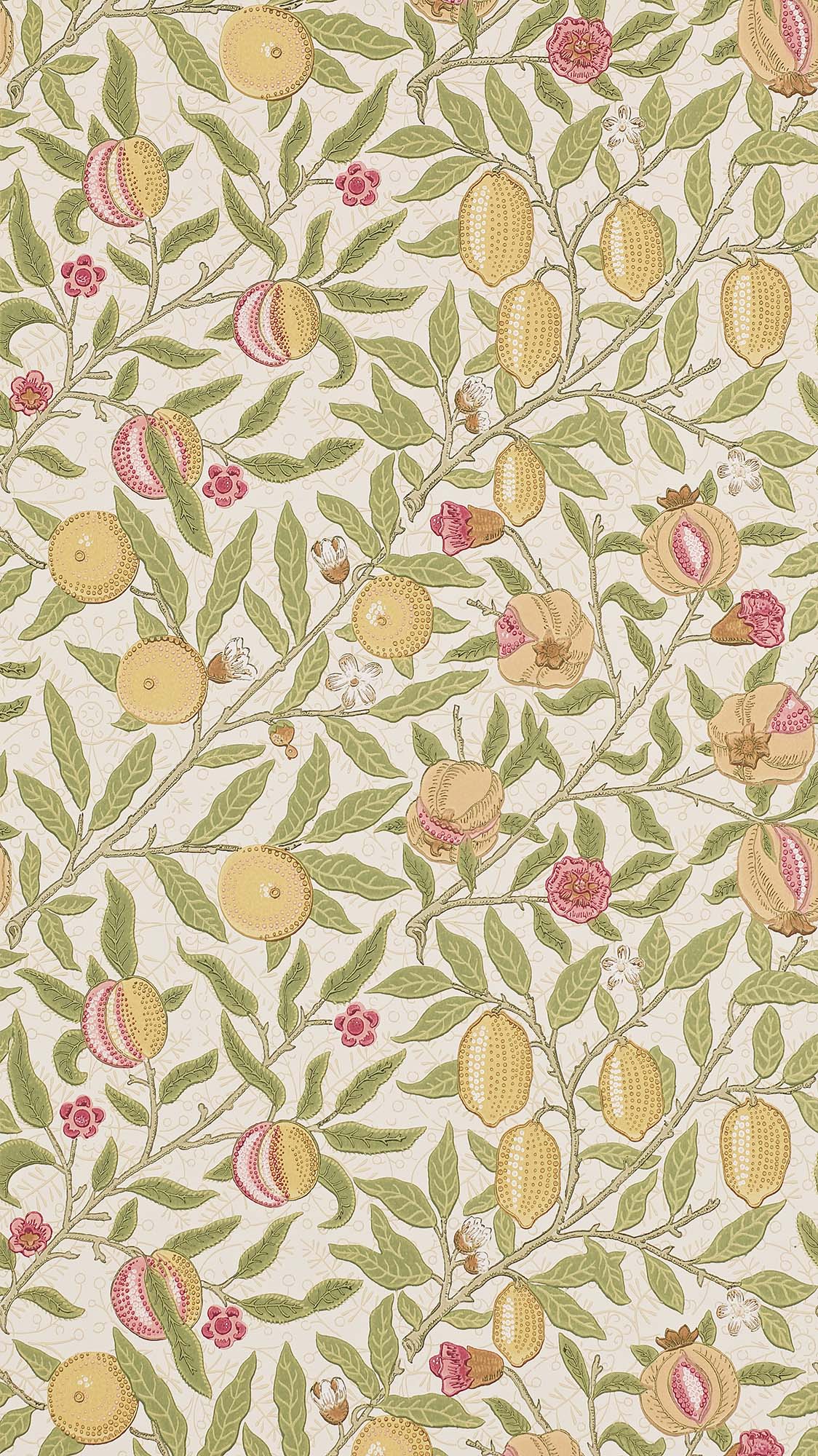 interior library - Fruit 216840 / 210395 MORRIS&Co.