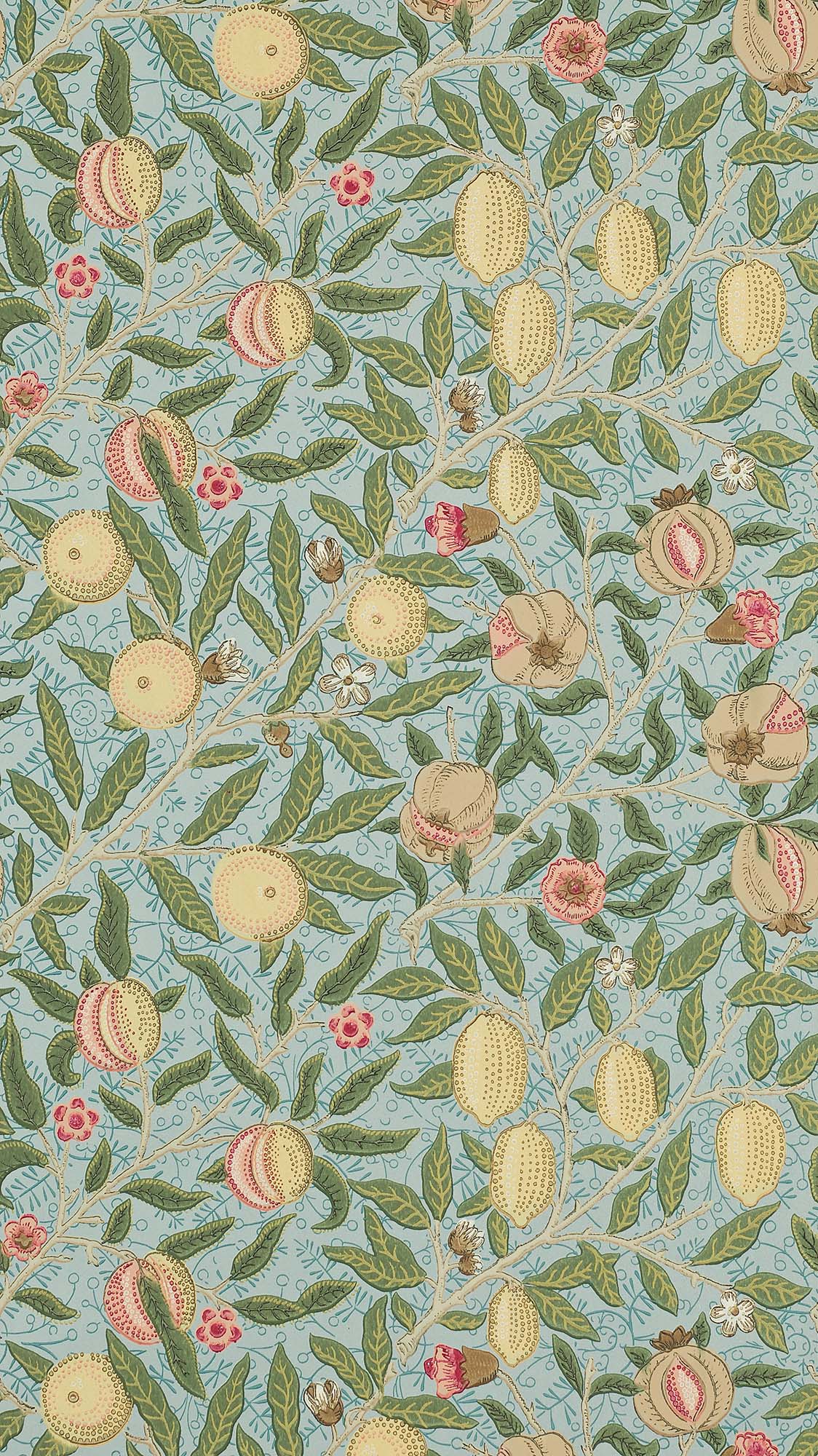 interior library - Fruit 216819 / 210396 MORRIS&Co.