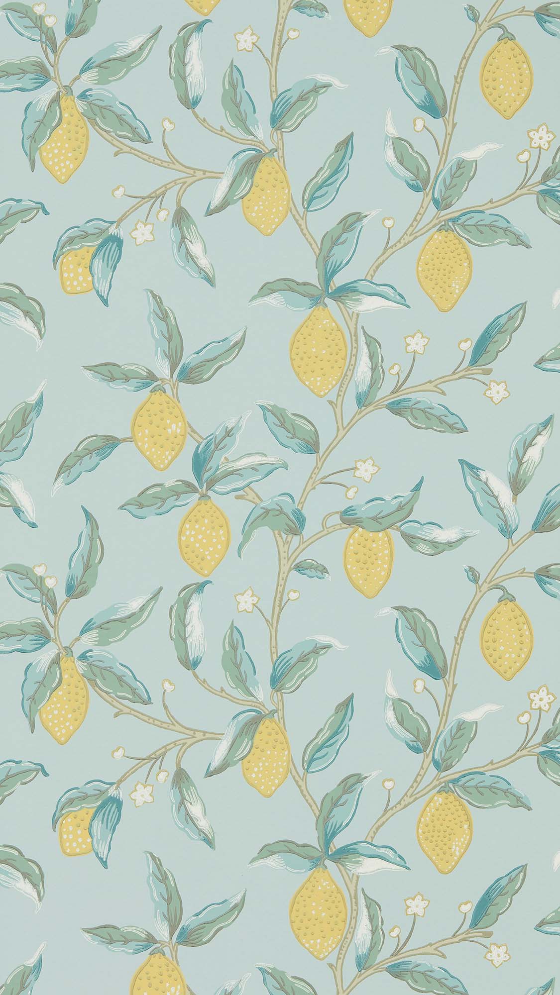 interior library - Lemon Tree 216674 MORRIS&Co.