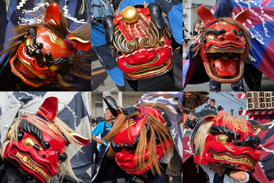 石岡のお祭りの獅子舞・幌獅子とは？「オス」「メス」の見分け方