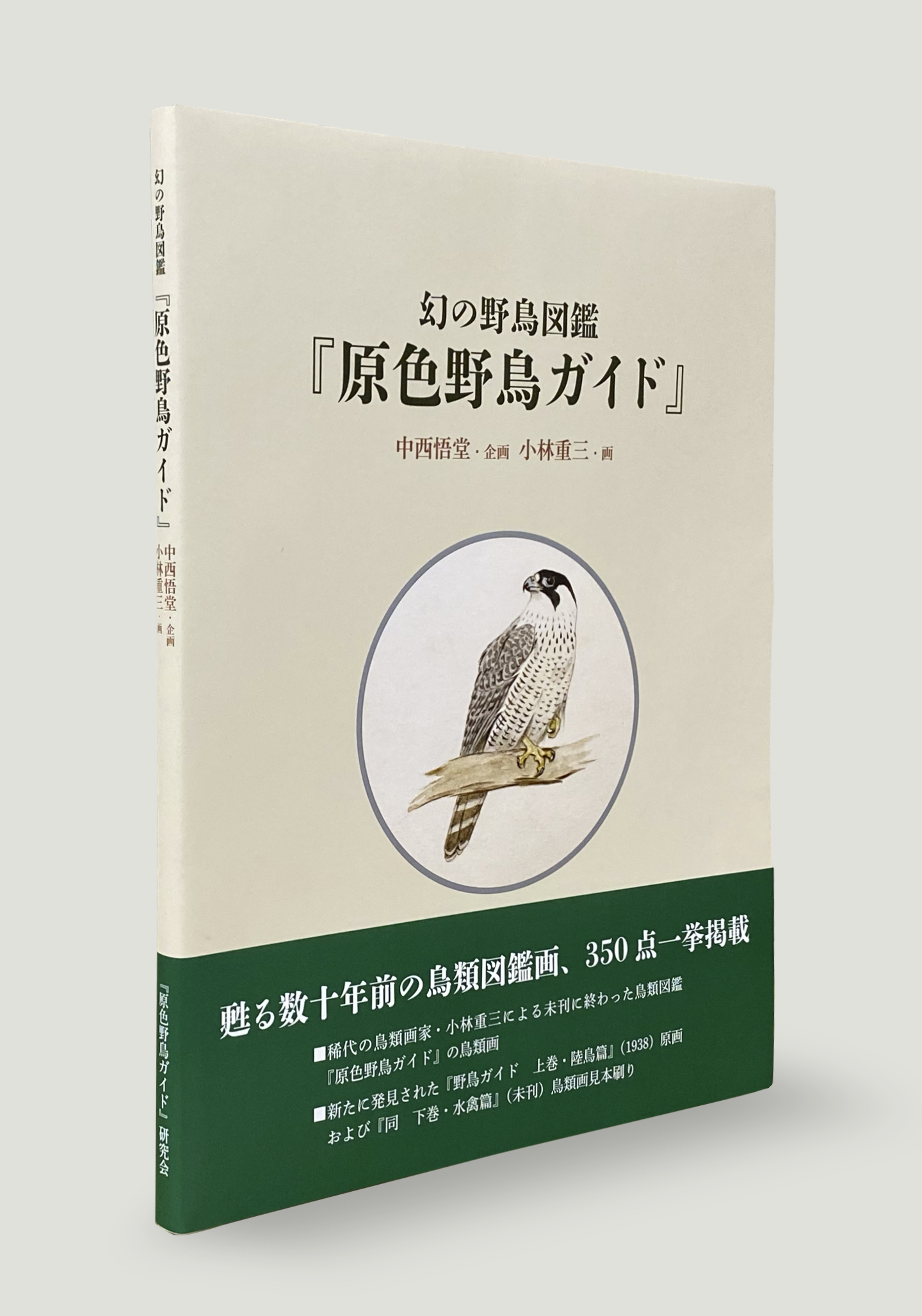 図録 幻の野鳥図鑑「原色野鳥ガイド」 | 美術・芸術書、写真集 | 事例
