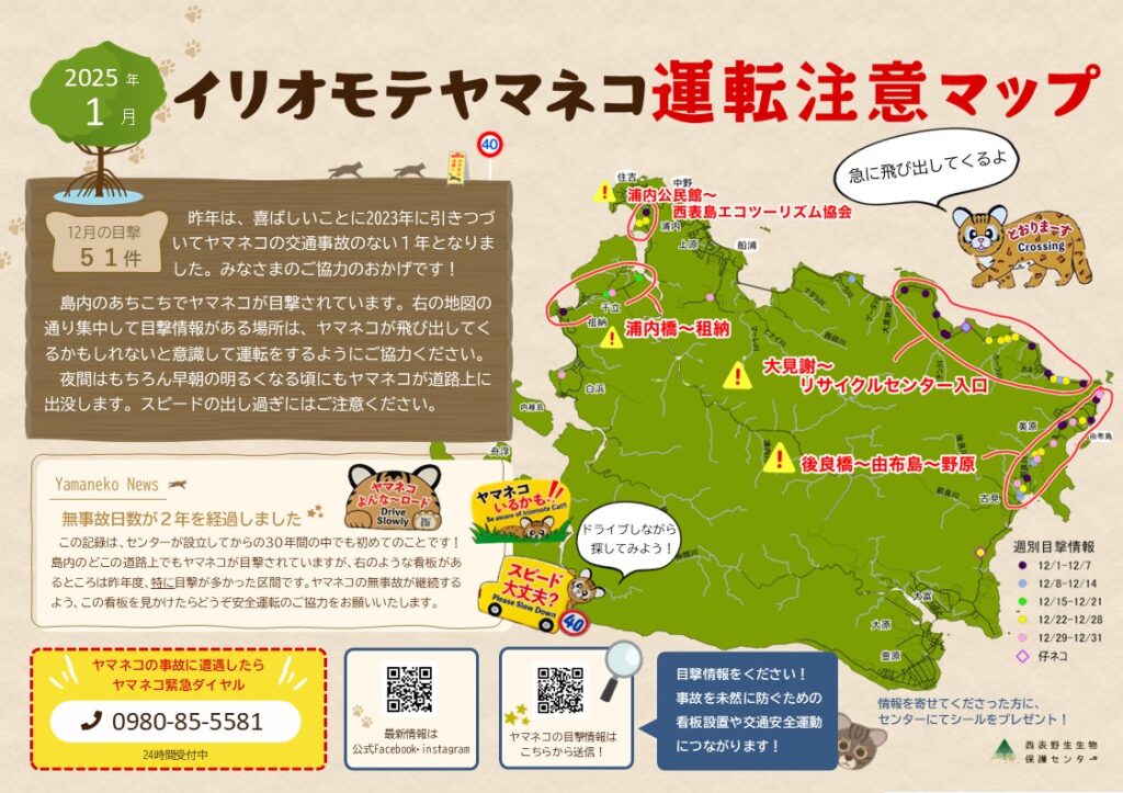 イリオモテヤマネコ運転注意マップ 1月号 | 西表野生生物保護センター