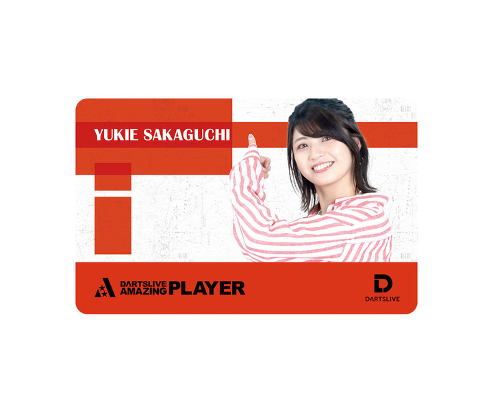 DARTSLIVE card｜ダーツライブカード(シリーズ：ダーツライブ)のダーツ