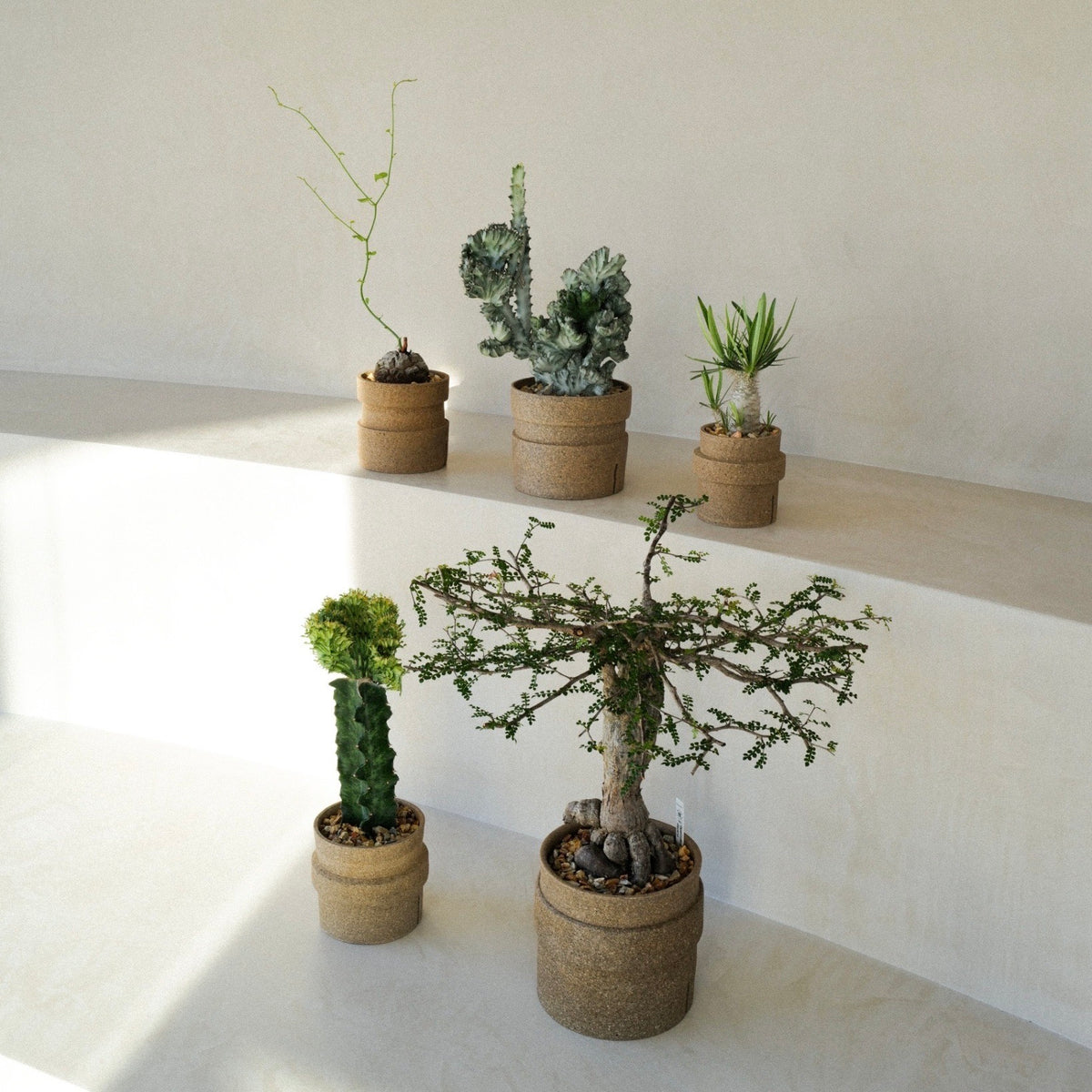 ICHI GALLERY × KAKUSEN-EN ORIGINAL POT 凸凹 DECOBOO (イチ