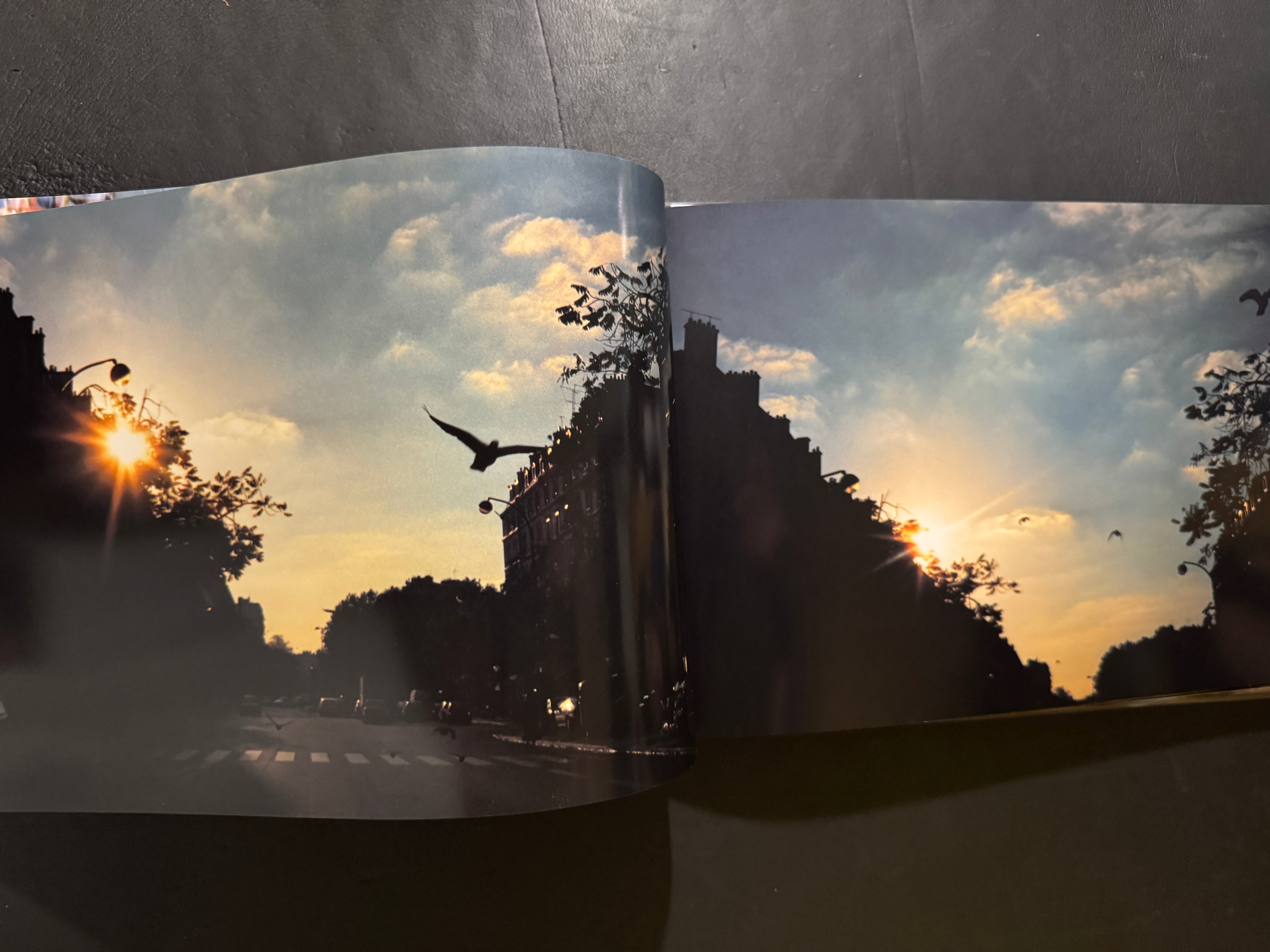 Hiromix Paris '97-'98 – JAPANESE AVANT-GARDE BOOKS