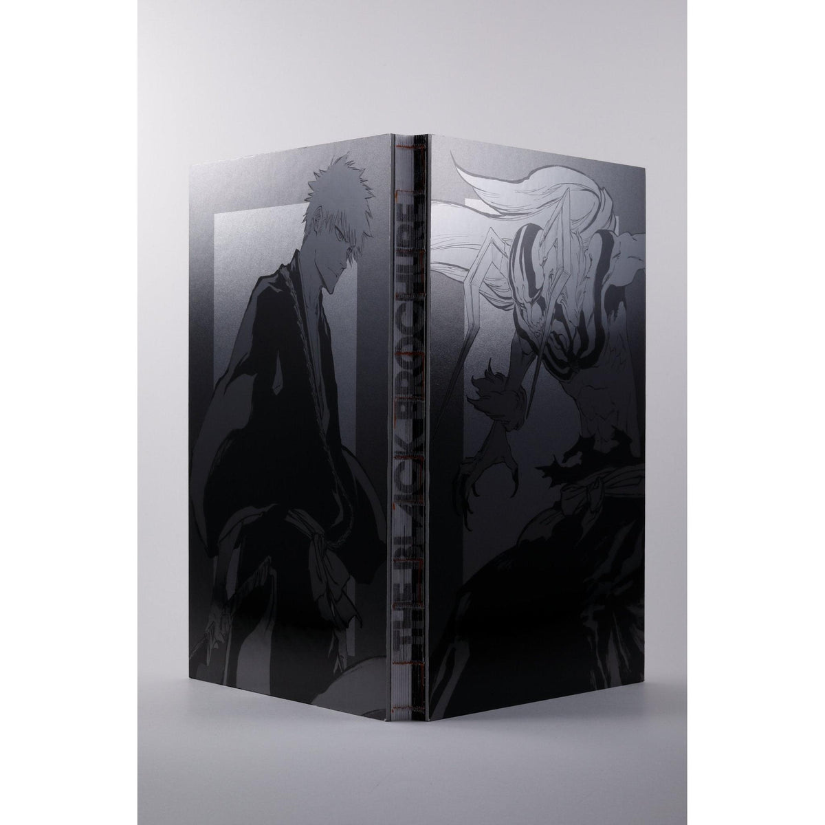bleach-ex-the-black-brochure-