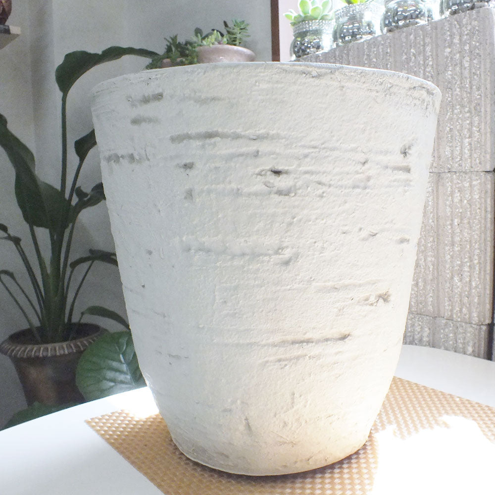 宝石のような観葉植物のお店 【Jewelry Plant】 すてきな白い鉢カバー
