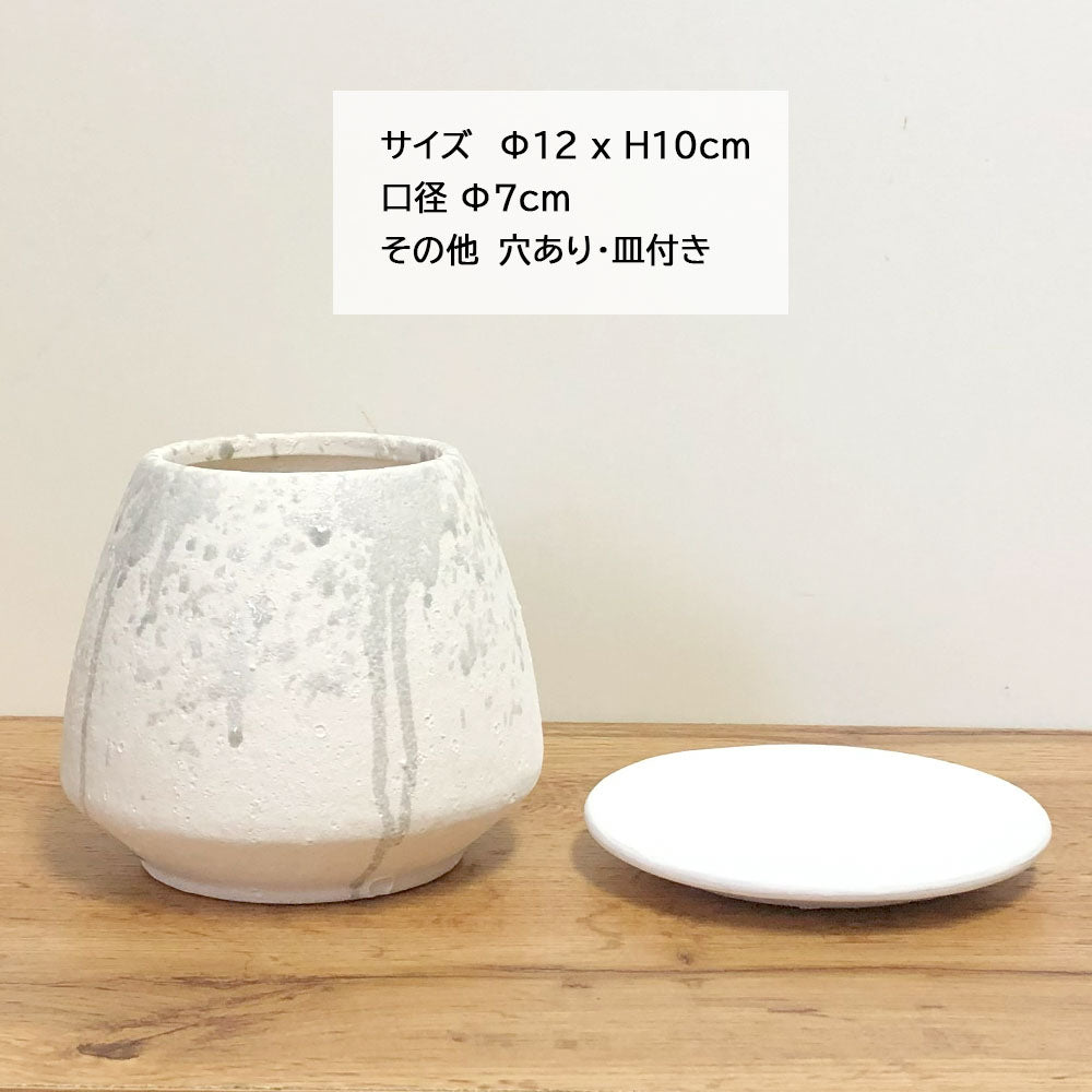 陶器鉢 4号 デザイン陶器 ソーサー付 選べるカラー ブラウン ホワイト