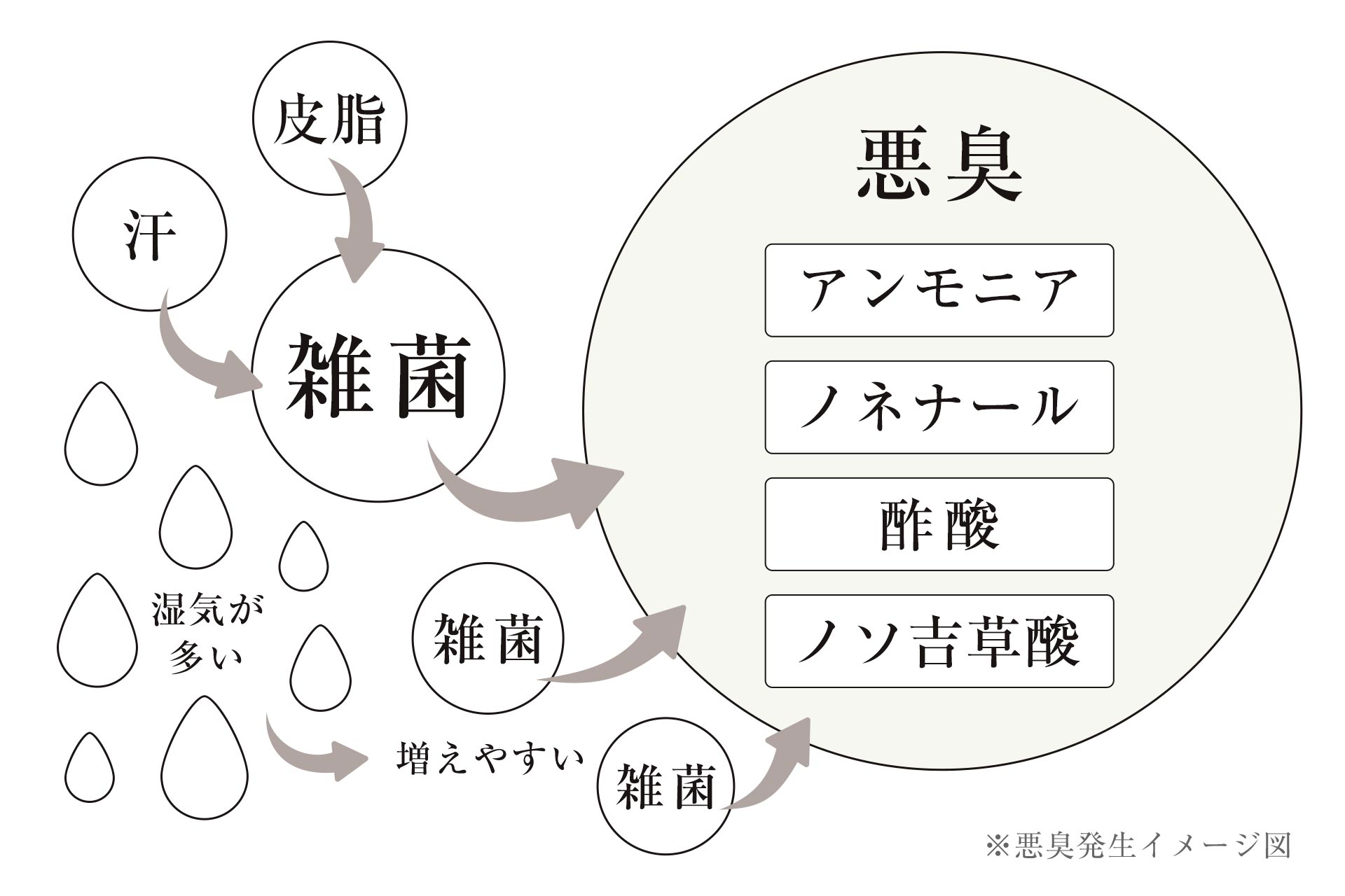 じぶんまくら専用消臭まくらケース｜じぶんまくら公式サイト