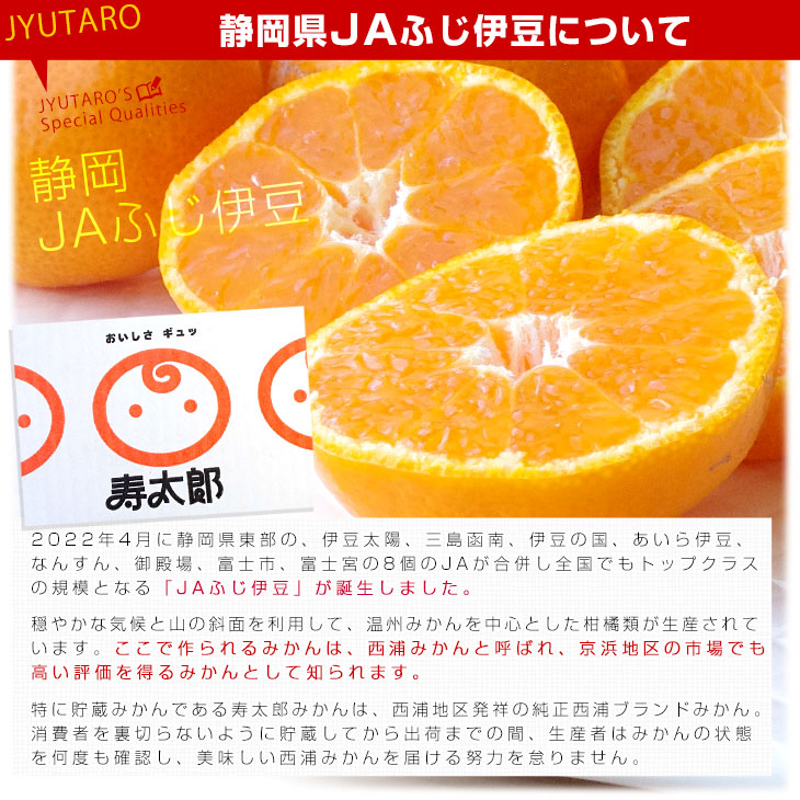 d_orange368_02.jpg