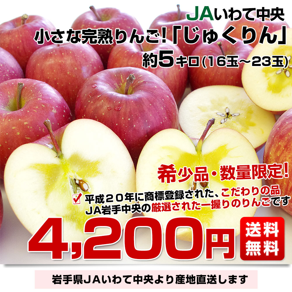 岩手県より産地直送 JAいわて中央 完熟サンふじりんご じゅくりん 約5