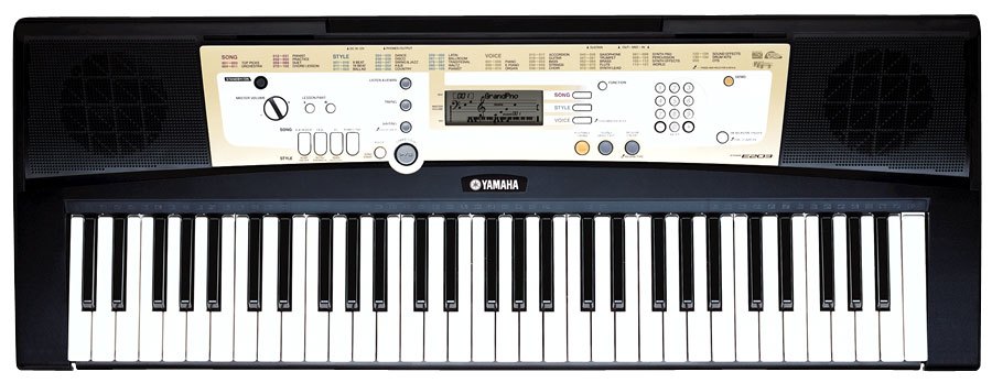 PSR-E203-