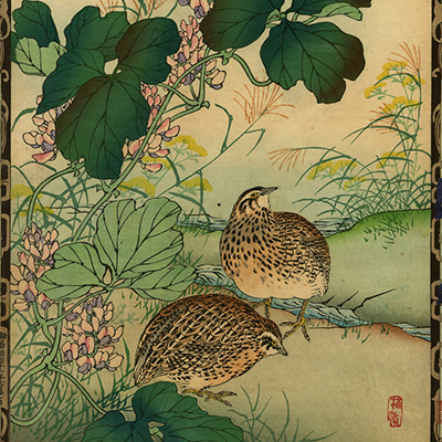 幸野楳嶺一覧－銀座 秋華洞