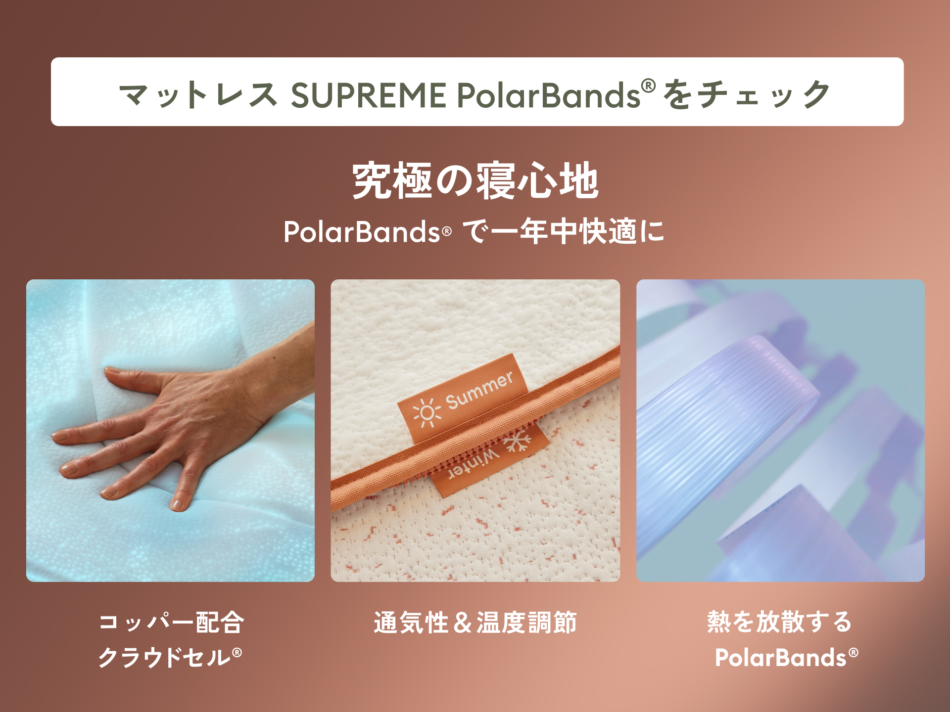 コアラマットレス SUPREME PolarBands®｜一年通してワンランク上の