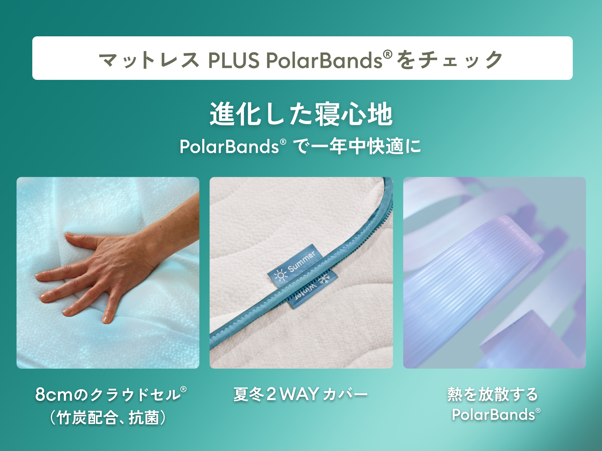 コアラマットレス PLUS PolarBands®｜夏は冷たく冬は暖かい一年中極上