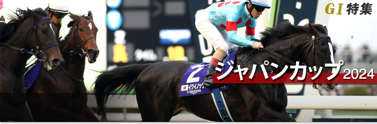 現地観戦馬券】2020年 ジャパンカップ 1,2,3着馬券 現地観戦馬券】2020