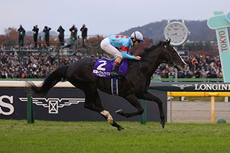 2023年 ジャパンカップ JRA