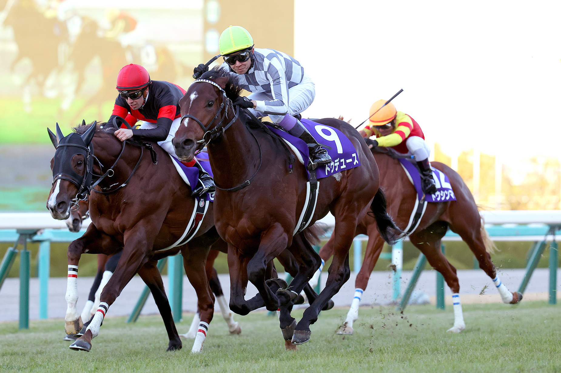 ドウデュース JRA