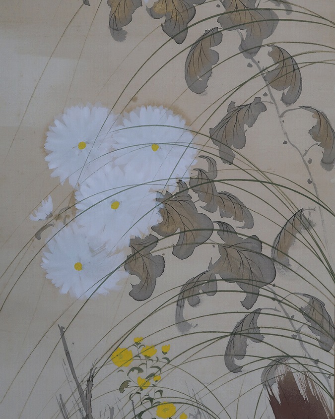北上聖牛 國華 菊 | 掛軸(掛け軸)販売／表装ご依頼は掛軸いっぷく掛軸