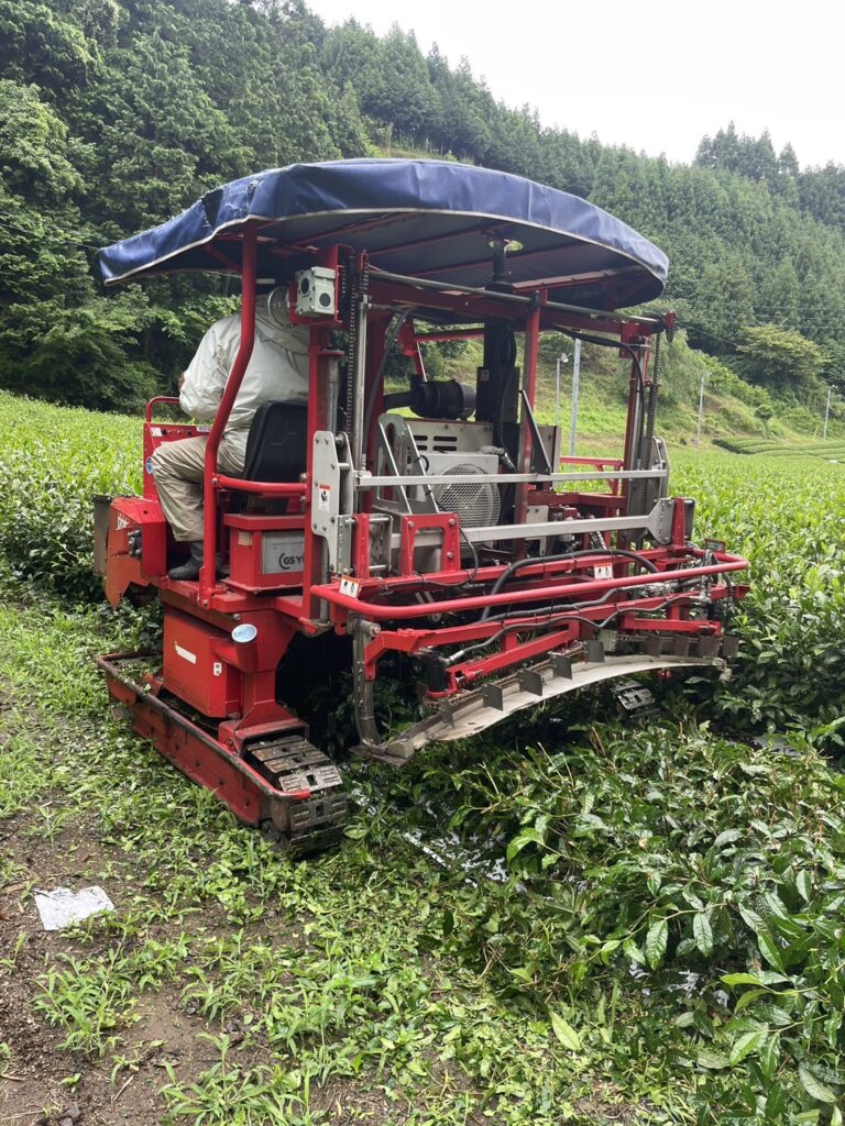 茶園の剪枝、中切り作業 | 有限会社カマタ機械