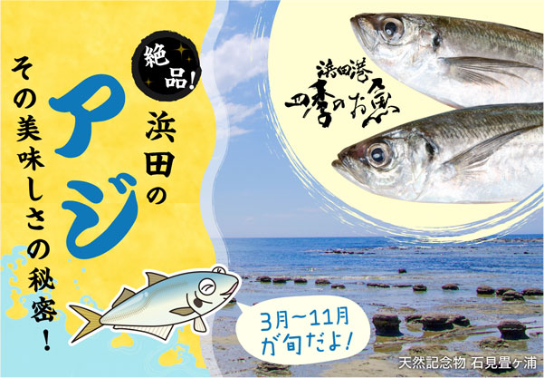 絶品！浜田のアジ その美味しさの秘密！ | はまナビ 浜田市観光協会