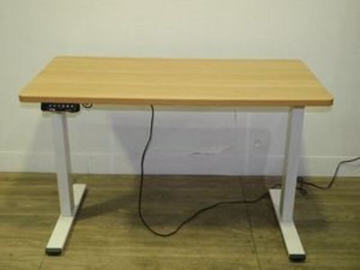FlexiSpot 電動昇降スタンディングデスク EF1W-JA 73～123cm – 買取
