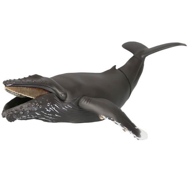 ソフビトイボックス 013 クジラ ザトウクジラ｜ソフビトイボックス｜海洋堂