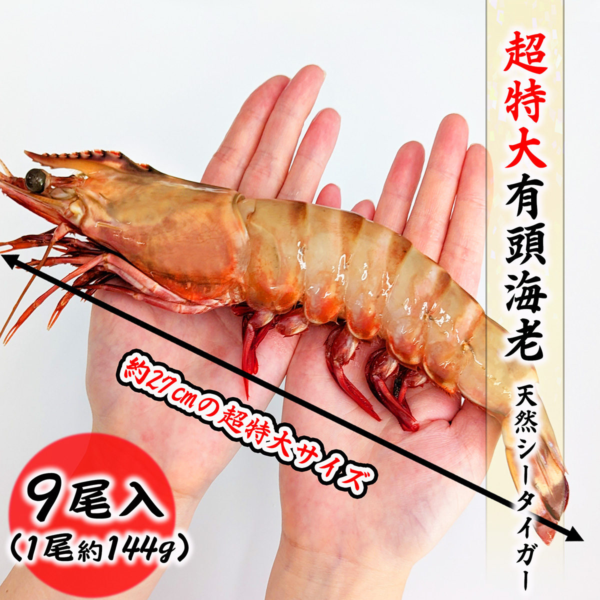 超特大サイズ 有頭海老 9尾 1.3kg 約27cm 天然シータイガー海老 エビ