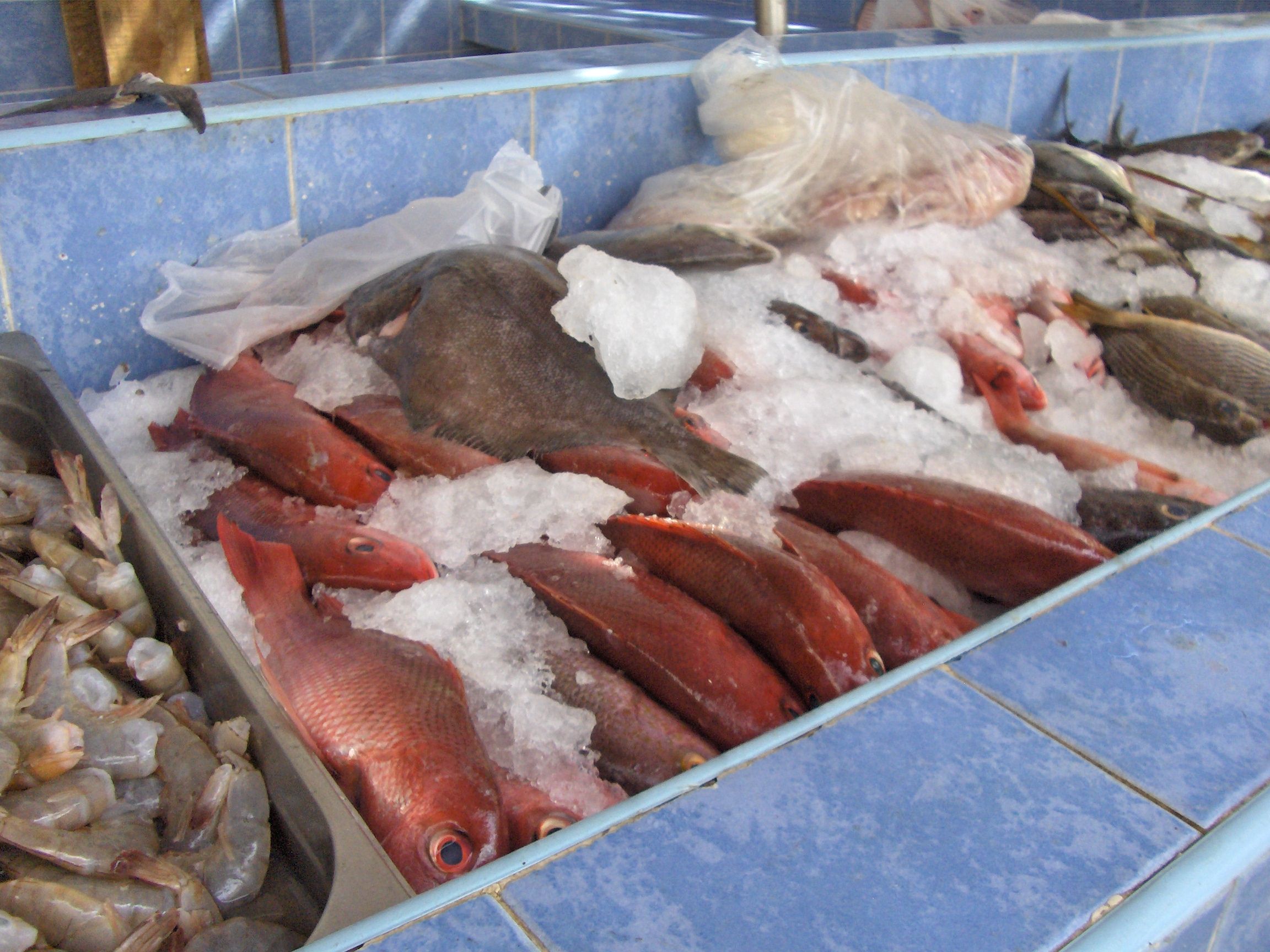 A Guided Tour of the La Cruz Fish Market with Tips for Buying Fish