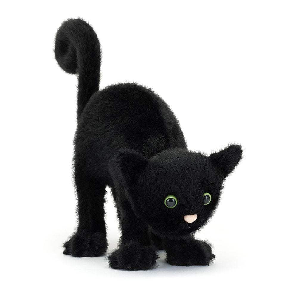 Spookipaws Cat – kiddywampus