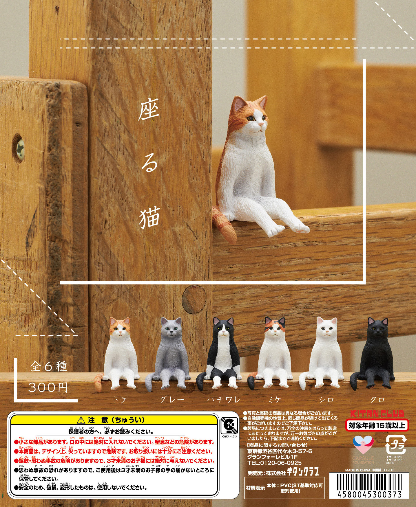 座る猫｜株式会社キタンクラブ