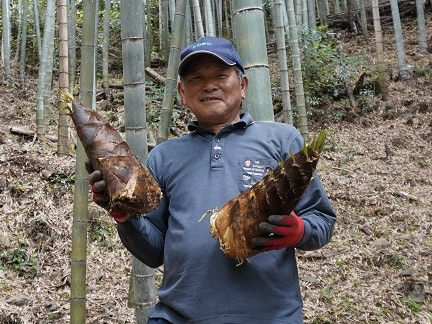 Back To 高知家の2021！春の恵み！「たけのこ掘り」の極意を高齢
