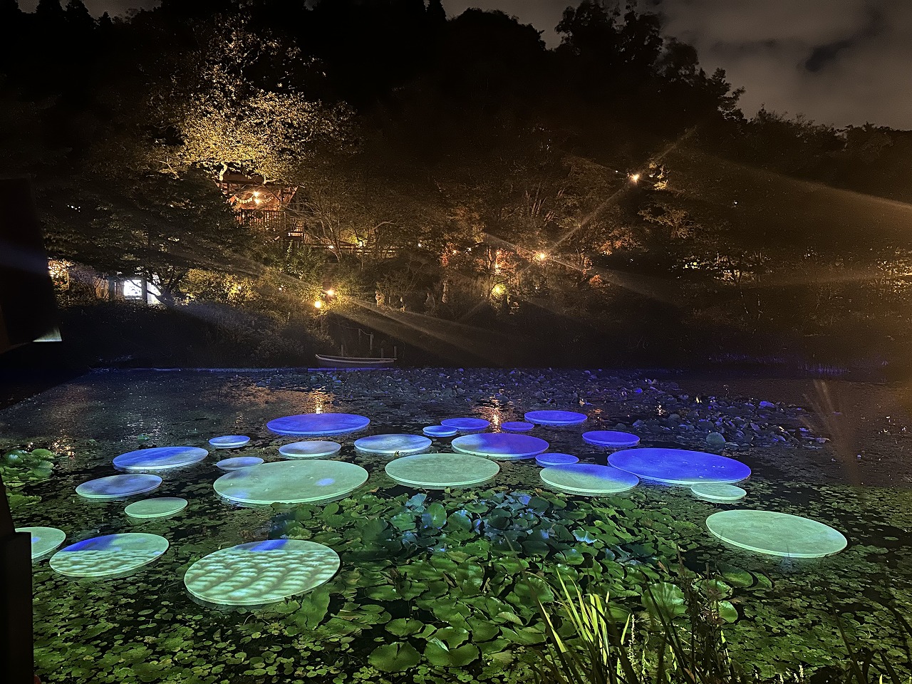 神戸市灘区】幻想的な夜の芸術散歩♪ 六甲ミーツ・アート2025「ひかり