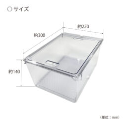 すのこ付き透明野菜保存容器 L | 商品情報 | KOKUBO 小久保工業所
