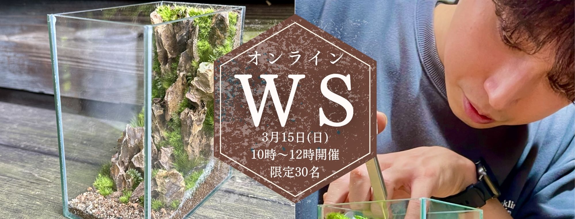 苔むすび OnlineShop