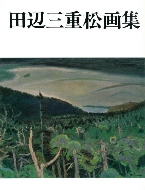 田辺三重松「サクレクール眺望（パリ）」油絵・F10号 絵画買取・販売の