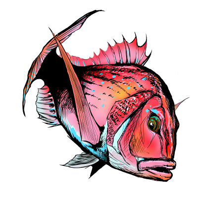 魚にまつわるハンドメイド雑貨｜イラスト素材・真鯛｜小雑貨魚屋