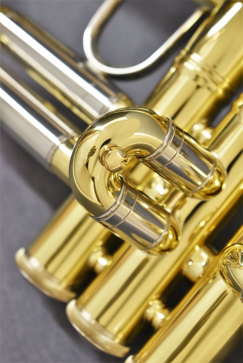 Vincent GL【新品】 | 【クロサワ楽器店オンラインショップ】いい楽器