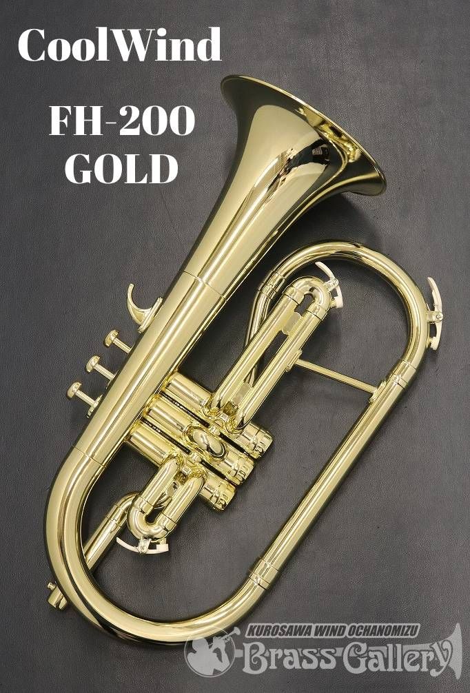 FH-200GLD | 【クロサワ楽器店オンラインショップ】いい楽器とのいい