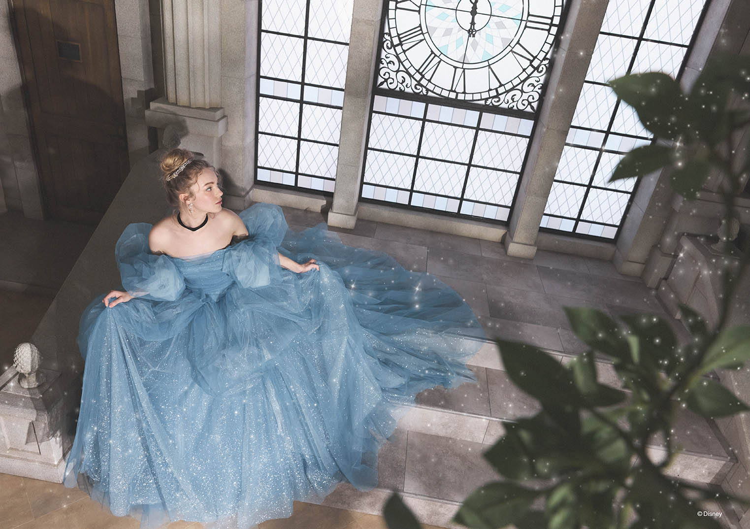 Cinderella | Disney Wedding Dress 11th Collection