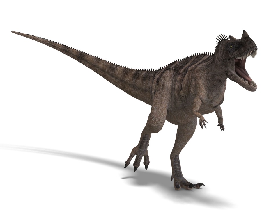 ケラトサウルス(Ceratosaurus) | 恐竜図鑑