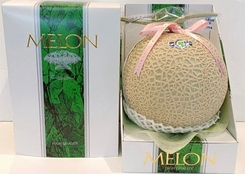 Arus Melon (High Sugar Level) | Kumamoto Prefecture | Gift Box