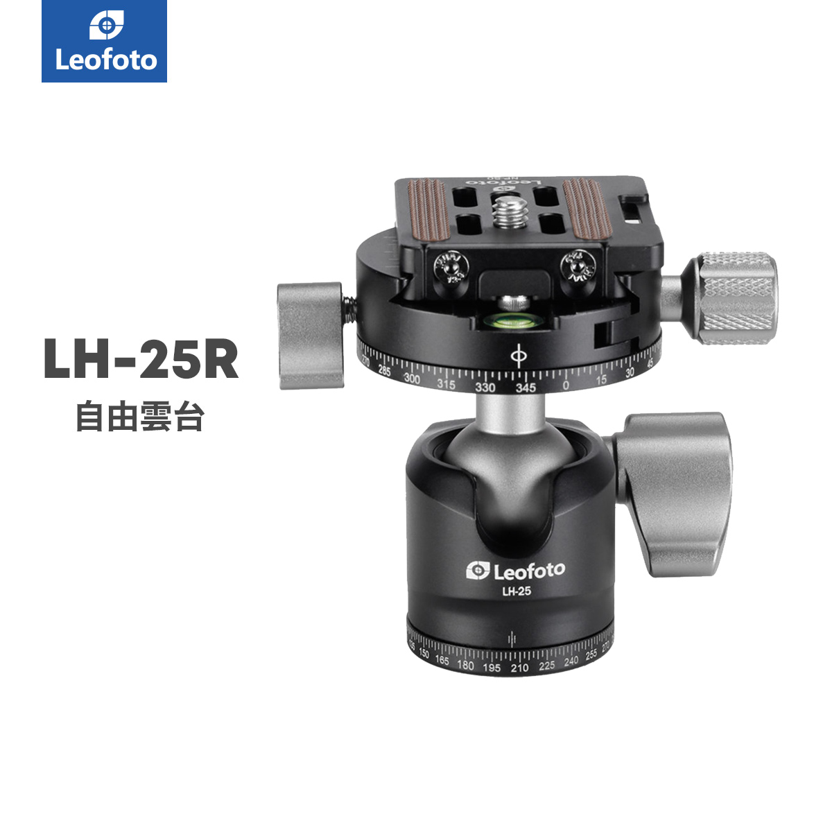 lh25r.jpg