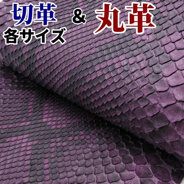 ヘビ革/紫（パープル・バイオレット・すみれ色）の革素材を販売