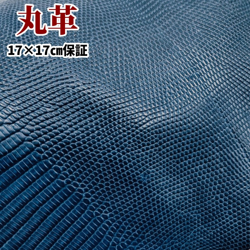 リザード革Lizard・ツヤあり、あお・blue/青色の通信販売 – レザー