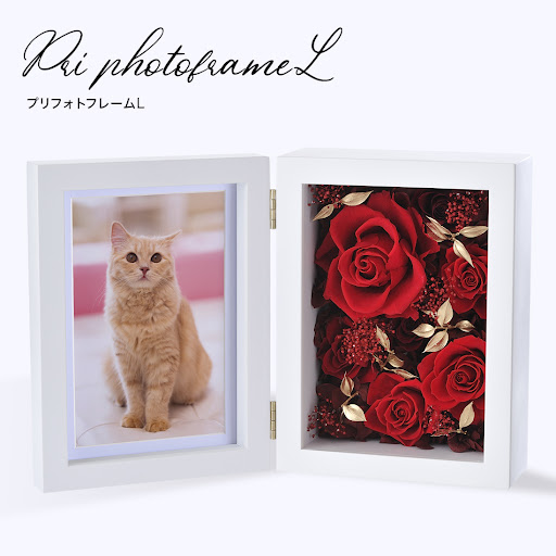 g8ll45P-