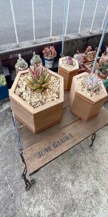 ガーデニングDIYで、廃材がおしゃれな「多肉植物用ウッドプランター