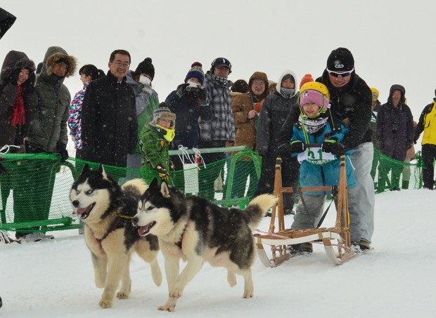 北の大地で繰り広げられる 犬たちの甲子園！〈JAPAN CUP 2019 第36回